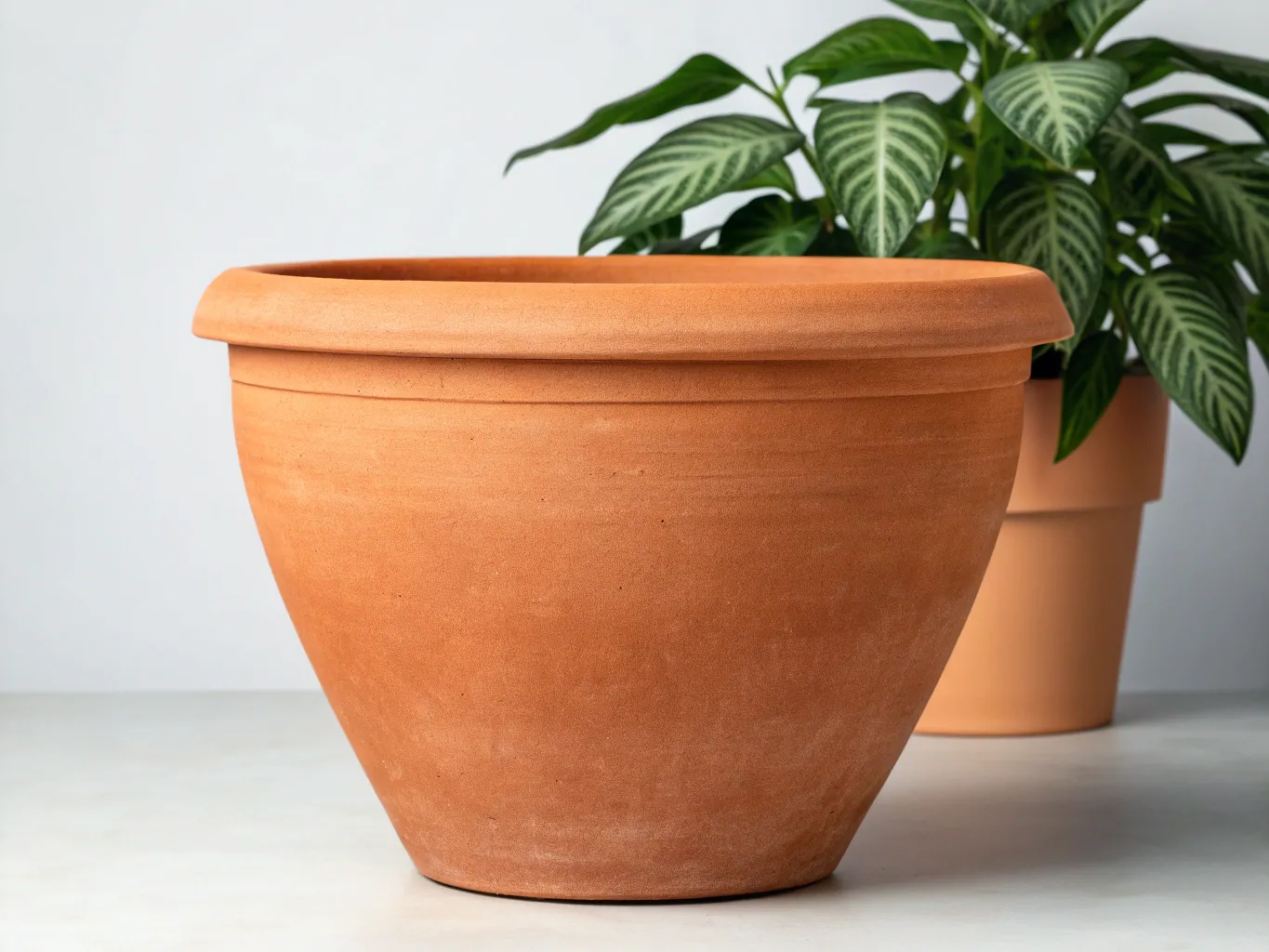 Terrakotta Pflanzentopf